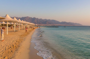Umbrella Beach Fujairah – Complete Visitor Guide (Location, Timing, Entry & Activities)